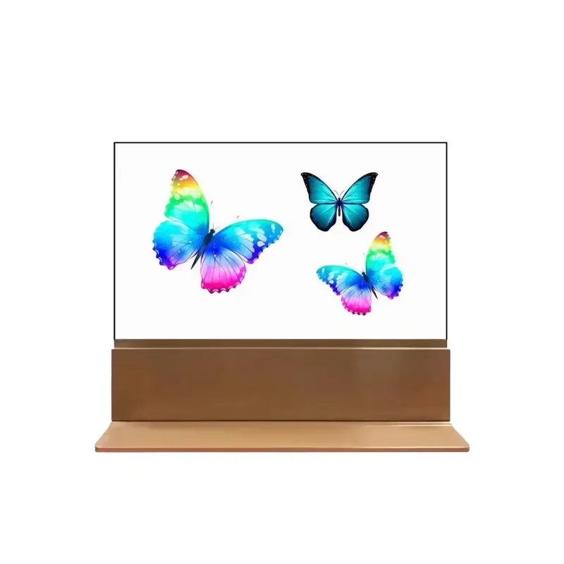 OLED Transparent 55