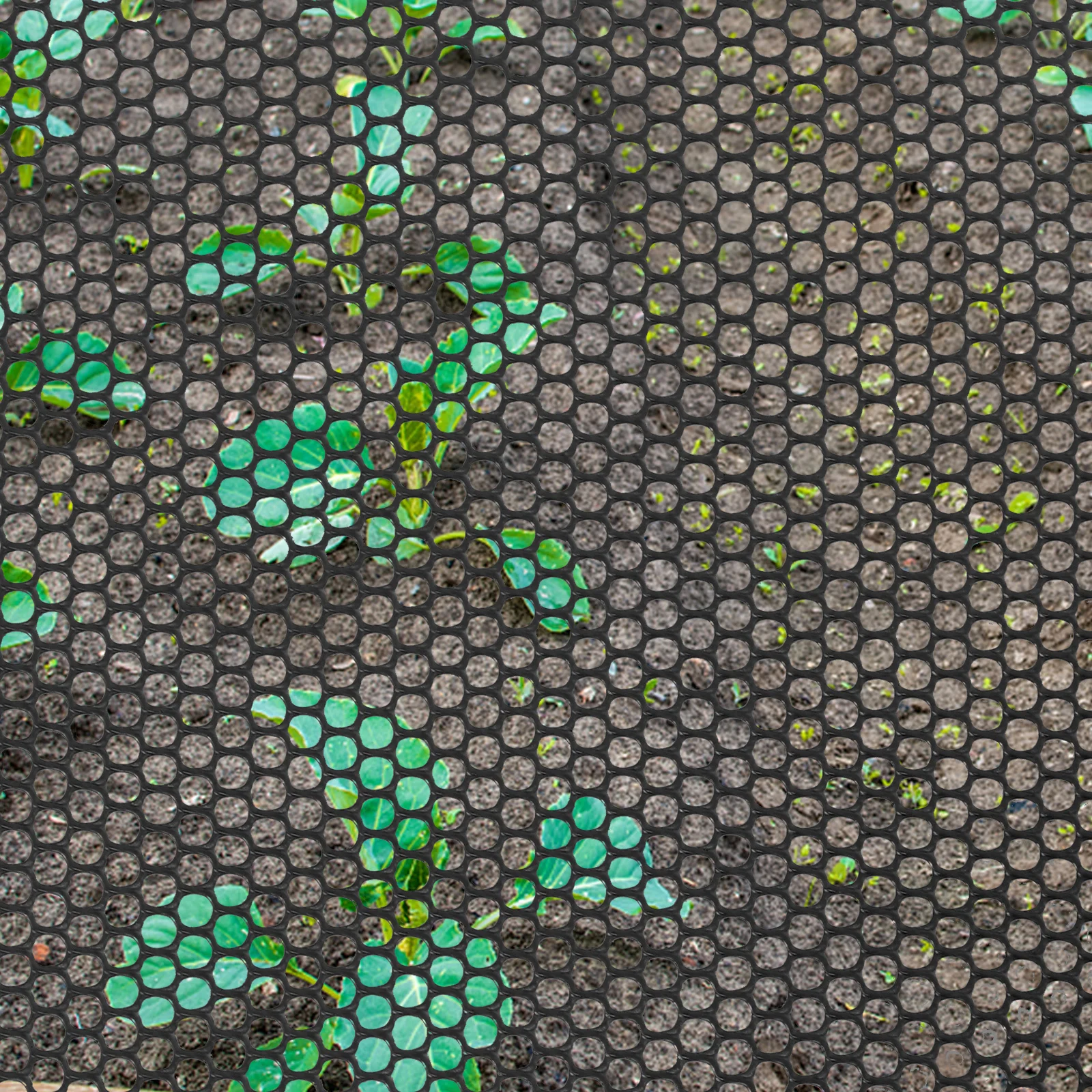 

1 Roll Plastic Fence Mesh Garden Hexagonal Protective Netting Durable Poultry Net Garden Netting Outdoor Use Plastic Mesh