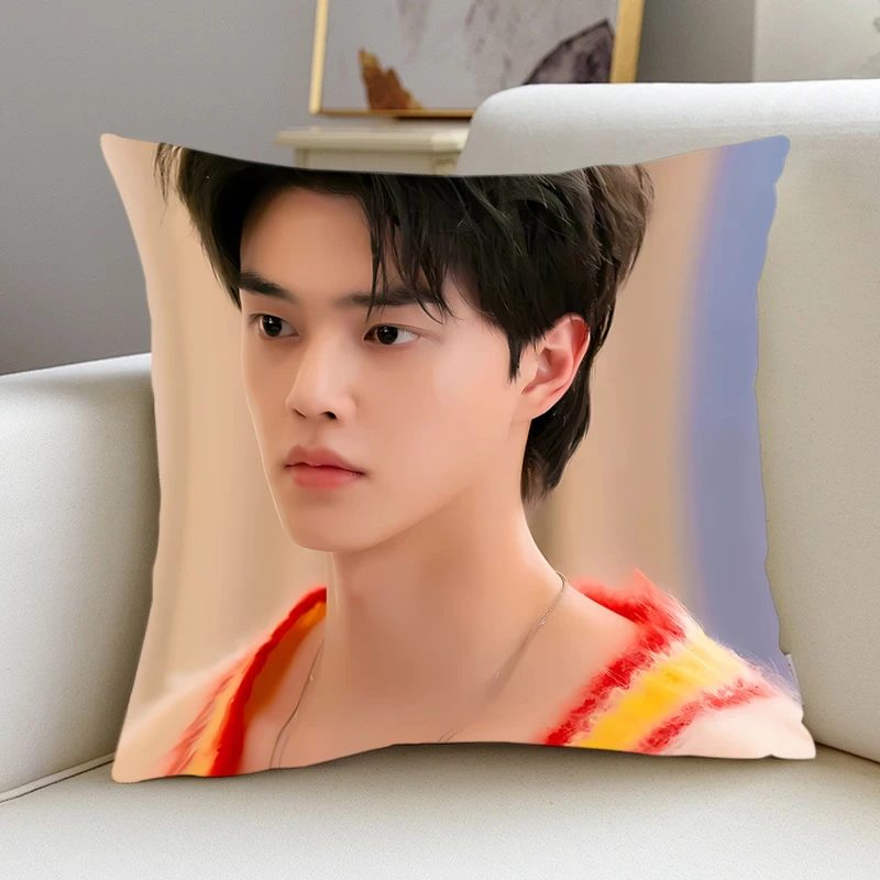 Pillow Cover S-Song-Kangs kpop room bedroomo office coffee shop car Dakimakura Throw Pillows iving room Pillowcase Home Decor