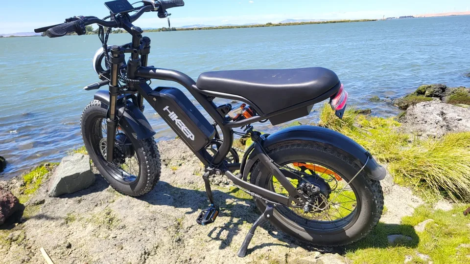 20" Adult Electric Bike 3000W Peak Dual Motor MTB Bicycle Fat Tire E-Bike image 4