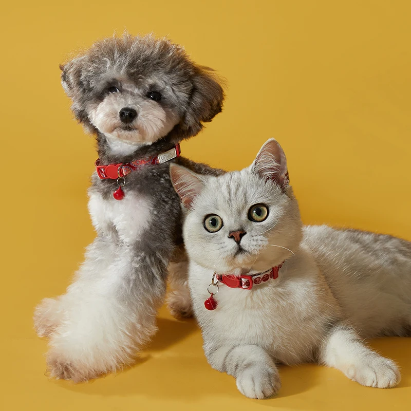 Pet Supplies Cat Collars Necklace With Bell 2pcs Pack Adjustable Breakaway ID Tag Personalized Accessories Small Dogs