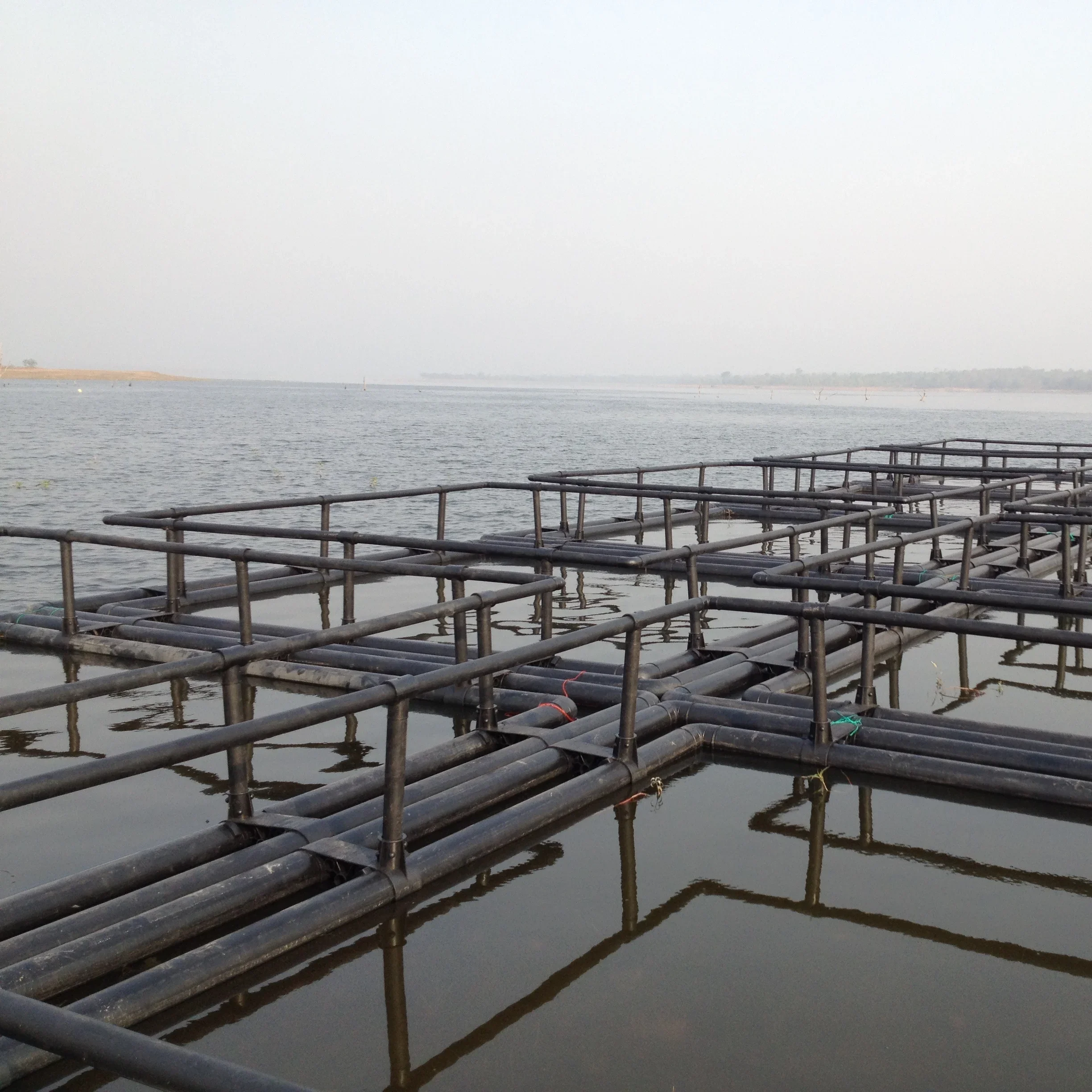 HDPE Floating Cage Fish Farm Aquaculture Equipment