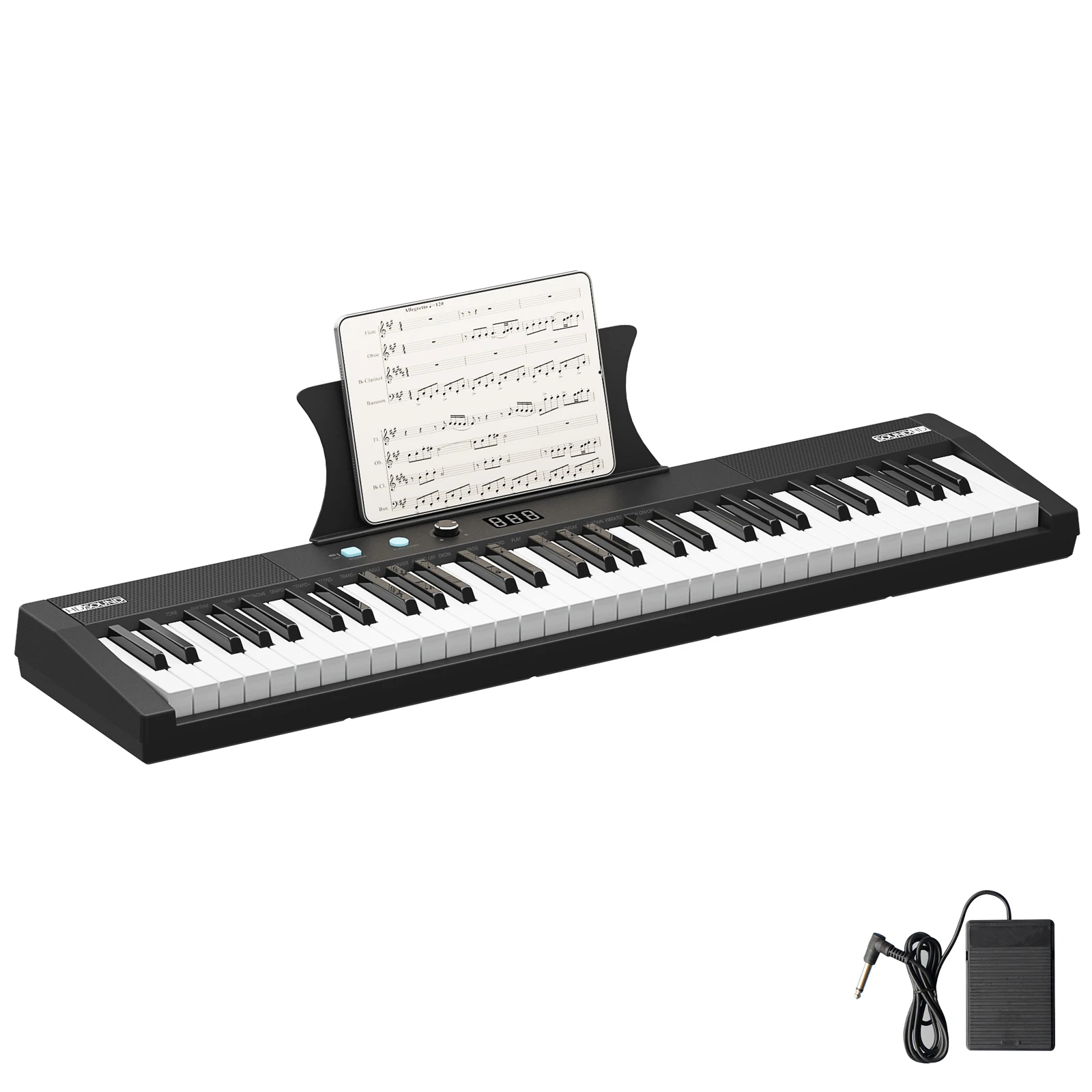

61-Key Portable Electric Keyboard Piano,Semi-Weighted Keys with Power Supply,Built-In Speakers, Pedal – Ideal for Beginners