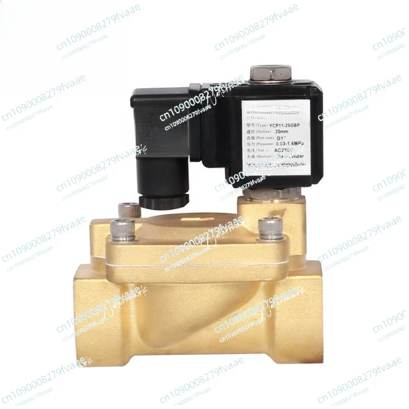 

YCP11 Pilot Diaphragm, Steam Cleaner/Steam Generator