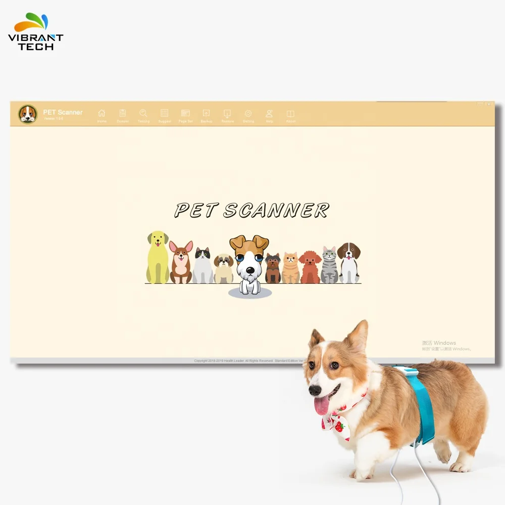 Магнитный резонанс для домашних животных для собак и кошек