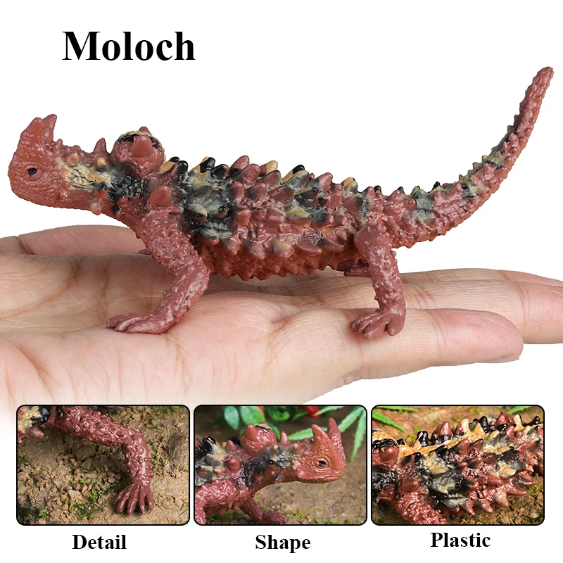 Oenux Reptil Tiere Wild Chamäleon Eidechse Lguana Thorny Teufel Gecko Action Figur Modell Figuren Bildung Spielzeug Für Kinder Geschenk – Detail 10