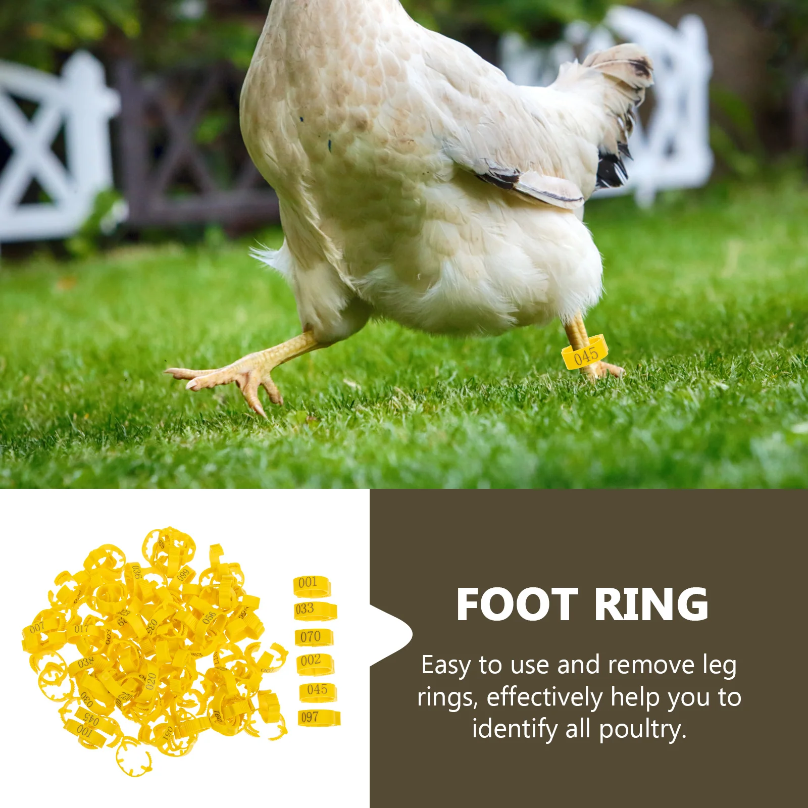 

100Pcs Numbered Poultry Leg Bands Identification Rings Durable Lightweight Easy Use for Chicken Pigeon Bird Breeds