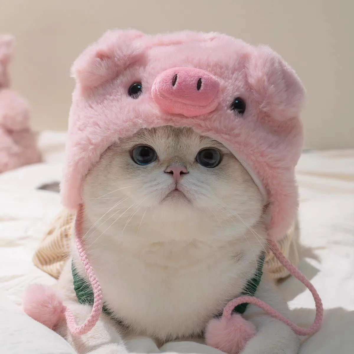 Funny Cat Cap Bear Plush Head Cover Cute Cat Dog Woven Warm Headdress Pet Hat Kitten Puppy Cosplay Costume Accessories