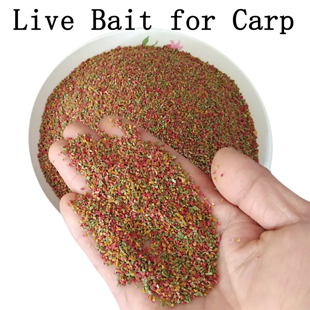 Gránulo de levadura de vino de caracol para