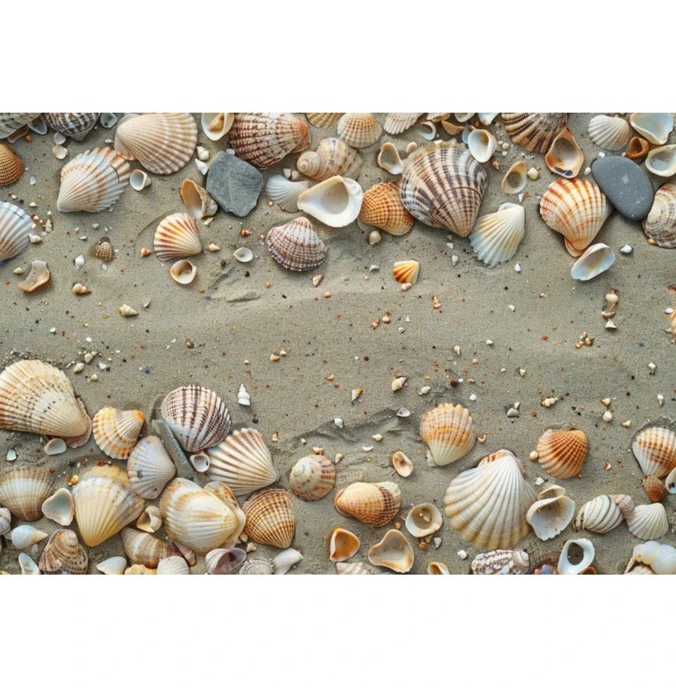 Fondo de playa de verano, playa de arena, concha, Concha, estrella de mar, fiesta de cumpleaños, retrato de vacaciones para bebés y niños, fondo de fotografía