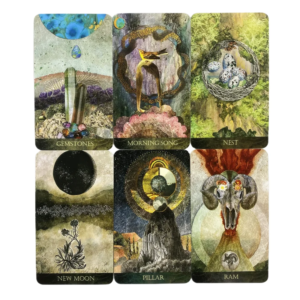 Die Faceted Garden Oracle Cards sind ein 50-teiliges Deck mit englischen Visions Divination Edition-Karten für Brettspiele