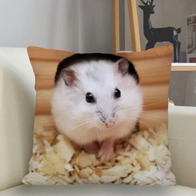 Taie d'Oreiller Mignonne en Forme de Hamster, Couverture Carrée avec Fermeture Éclair
