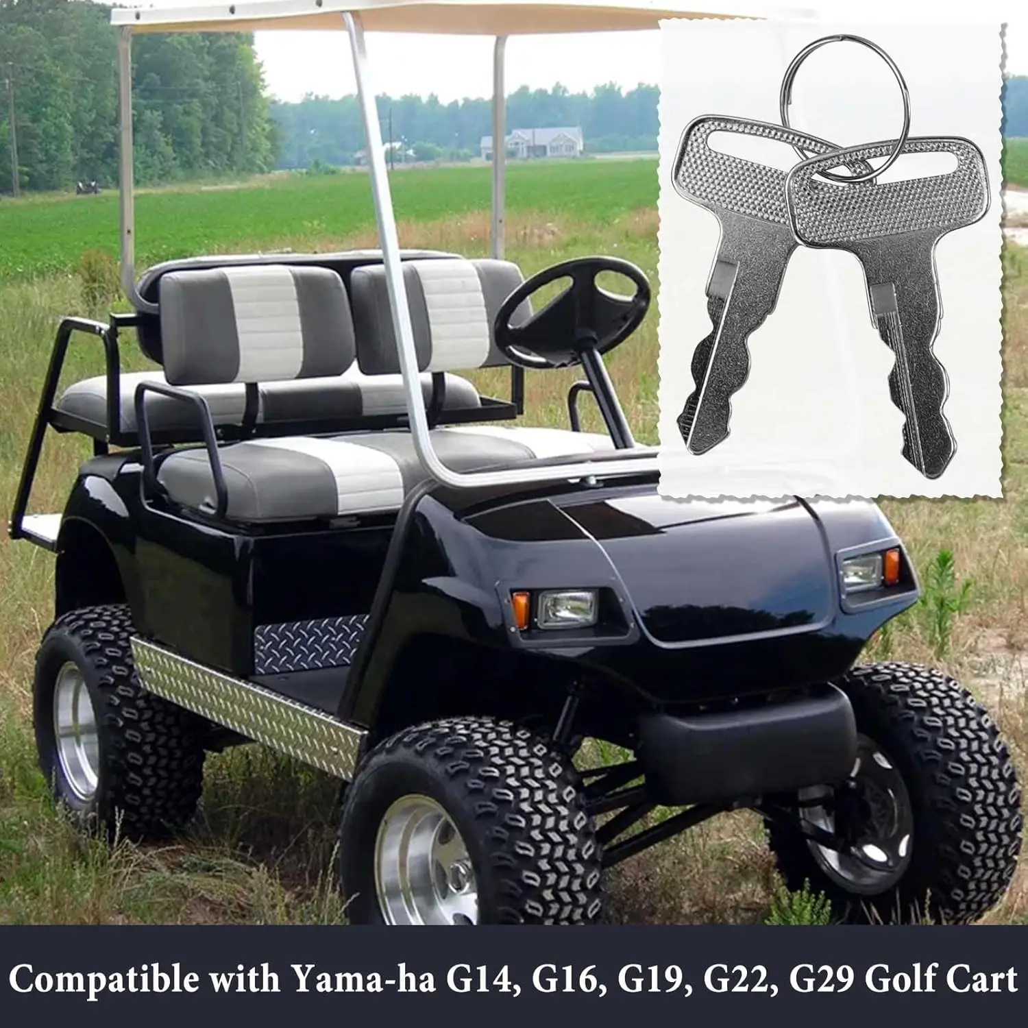 Set of 2 Golf Cart Replacement Key for G14/G16/G19/G20/G21/G22/G29/Drive#