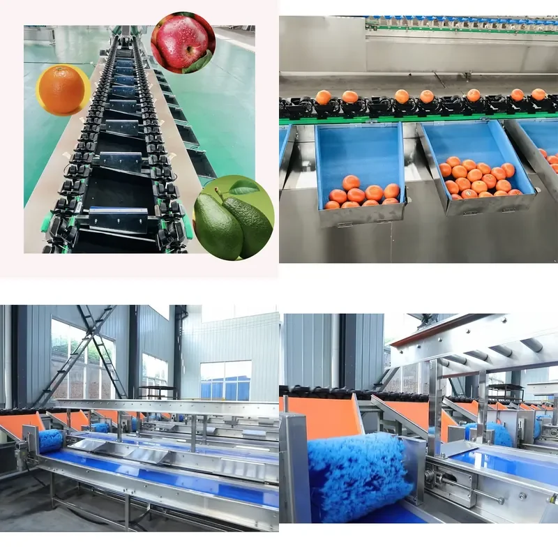 Hot Selling High Efficiency Industrial Automatic Classifier Fruit Sorter