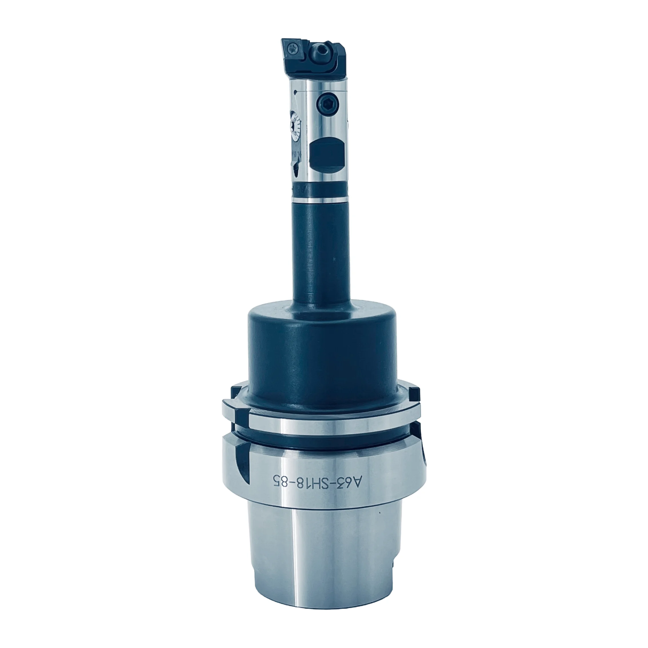 Japanese Fine-Tunin…