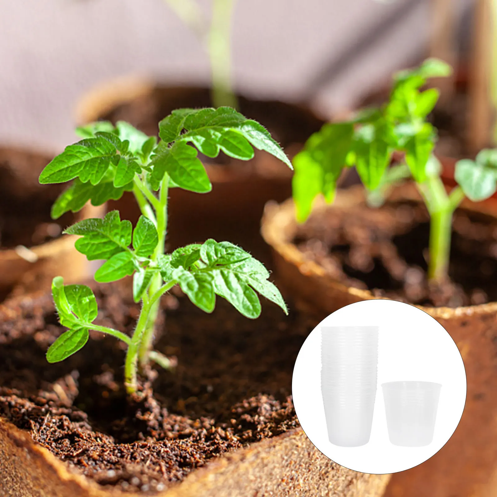 

36Pcs Plant Nursery Cups Transparent Practical Durable Plastic Seedling Pots Nutrient Cups Suitable for Growing Succulents