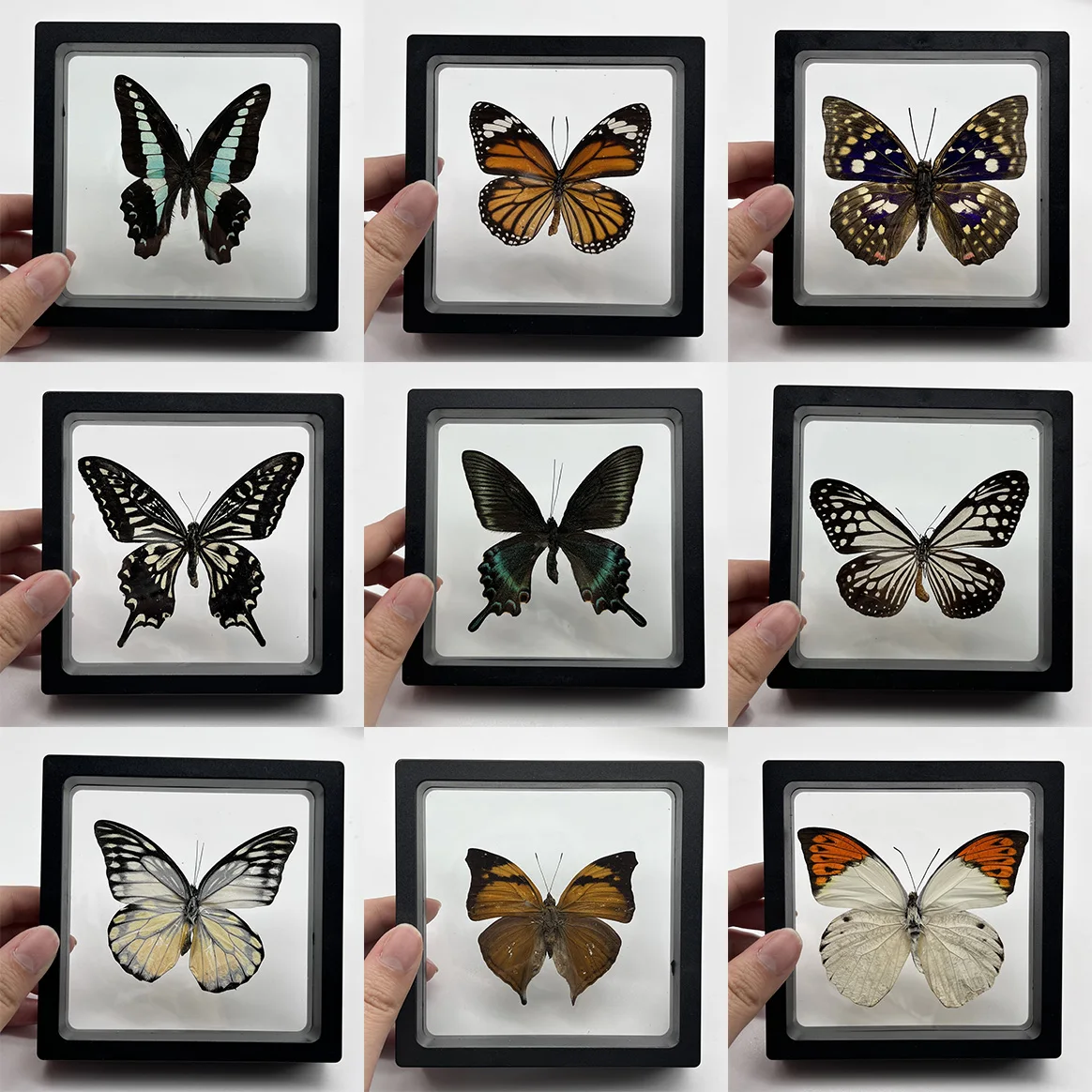 1pcs Real Butterfly Specimen Insect Home Decor Photo Frame   Desk Decoration Figurines Birthday Gift Teaching Training