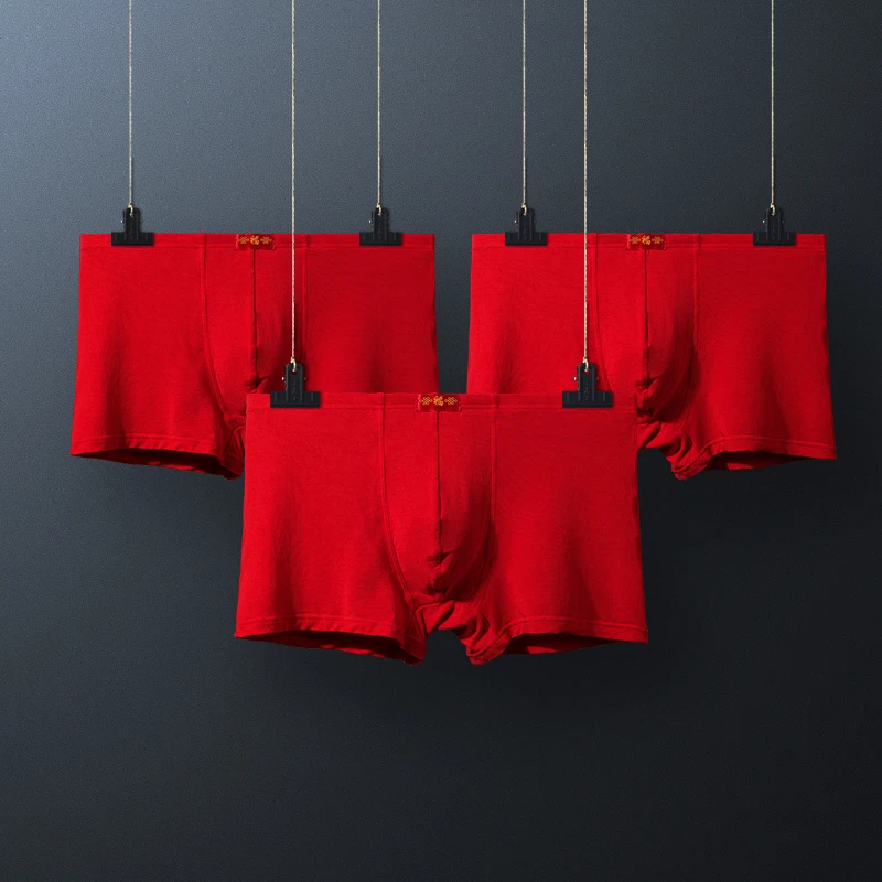 5PCSMen's underwear, men's briefs, gifts for men in the year of their zodiac sign, thin four-cornered trousers, and underpants