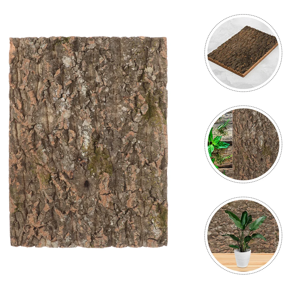 Climbing Pet Box Background Board Terrarium Reptile Supply Bark Delicate Aquarium Cork Decor For Reptiles Backdrop