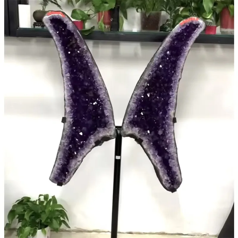 Beautiful Pair of Amethyst Wings Natural Healing Rock Quartz Butterfly Geological Community with Metal Stand Home Decor