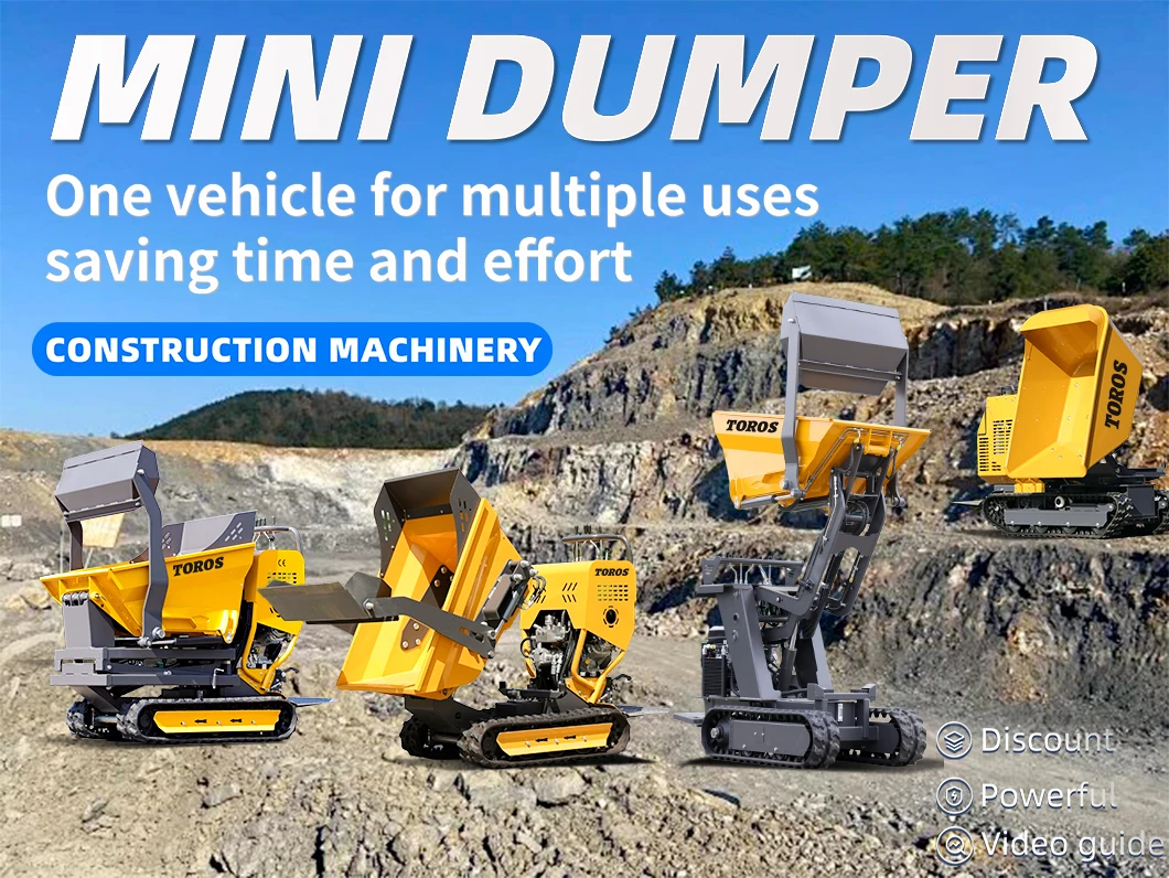 Mini-Raupenkipper, hydraulischer Raupenkipper, manueller und automatischer Transporter für den Bau, kundenspezifischer Kipper – Detail 1