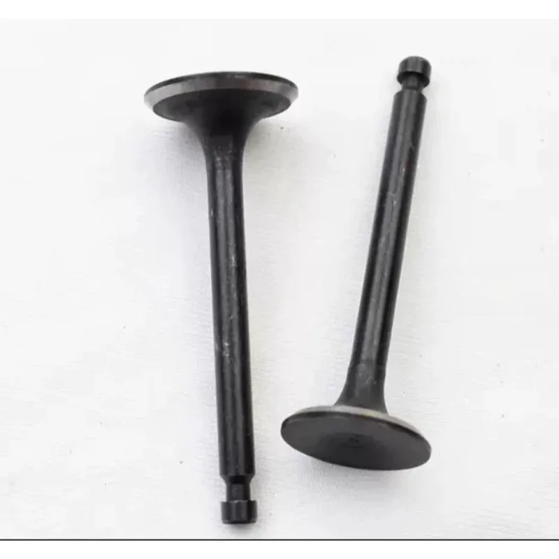 Suitable for Robin EX17 6.0HP Engine with Intake and Exhaust Valves