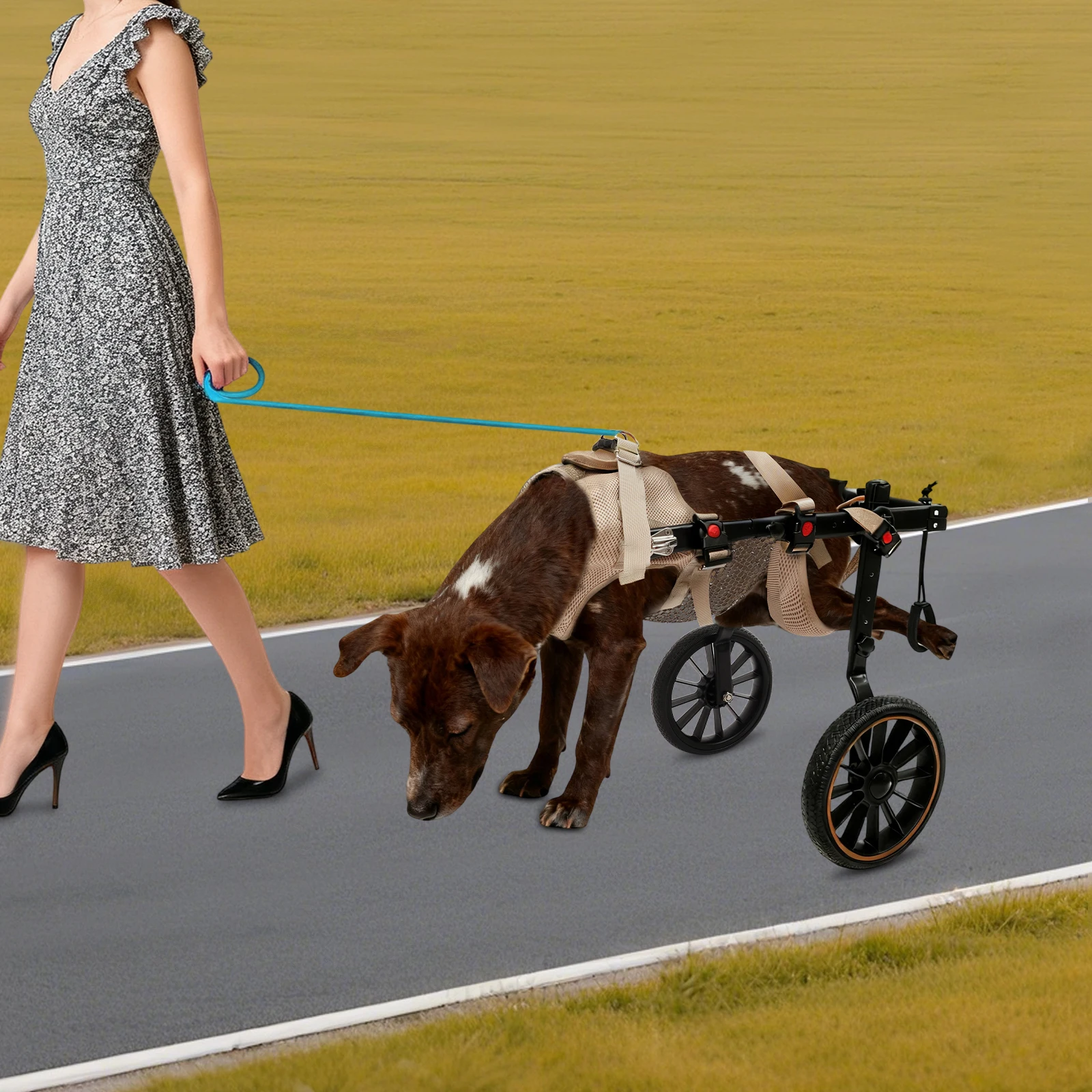 2-Rad-Hundewagen für mittelgroße/große Hunde – Gehhilfe und Rehabilitationsassistent XXL für ältere Hunde mit Hinterbeinproblemen – Detail 1