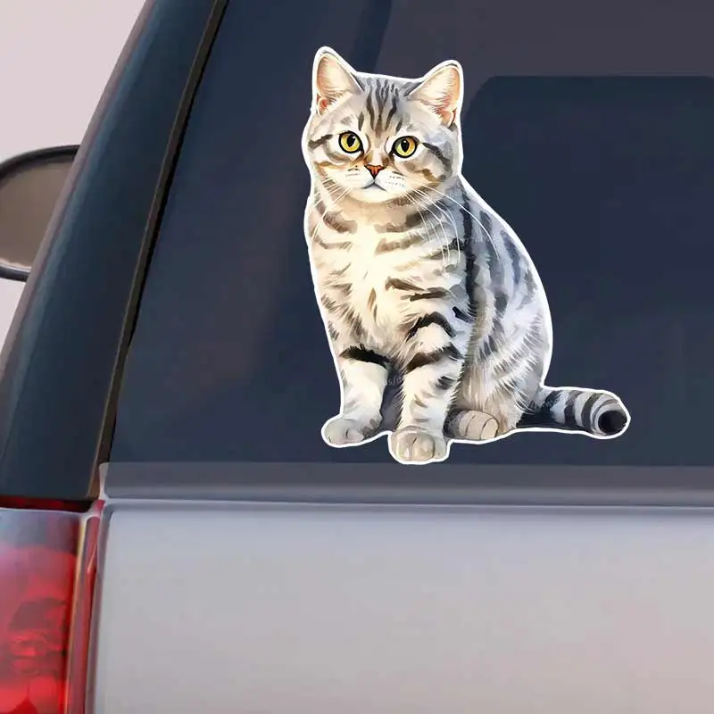 British Shorthair Tabby Cat Car Sticker Self-adhesive Decal For Automotive Rear Window And Bumper Waterproof Sticker Y390