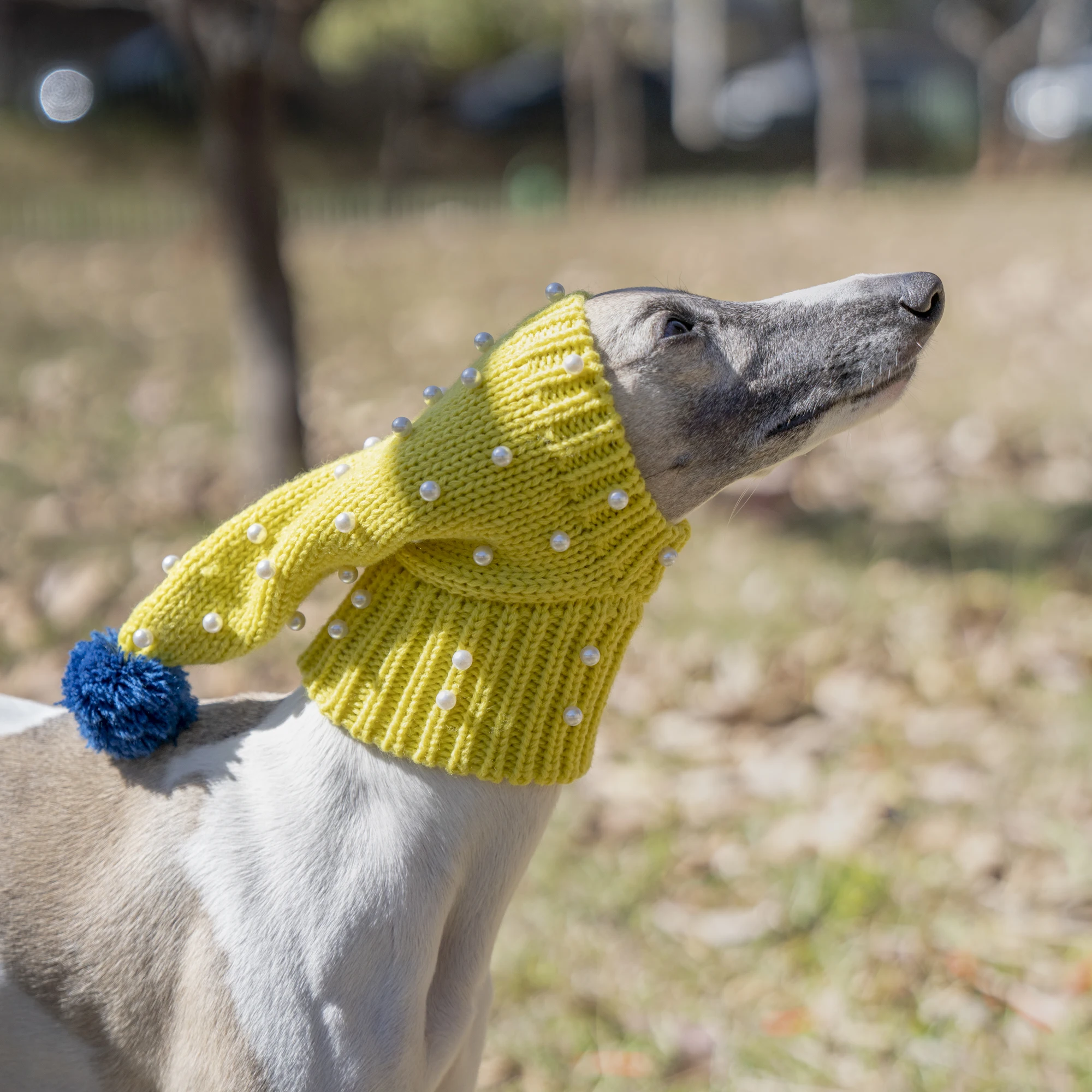 Yellow Hat with Pearls, Small Dog Hat, Whitbit Greyhound, Winter Warmth Decoration, Large Dog Hat