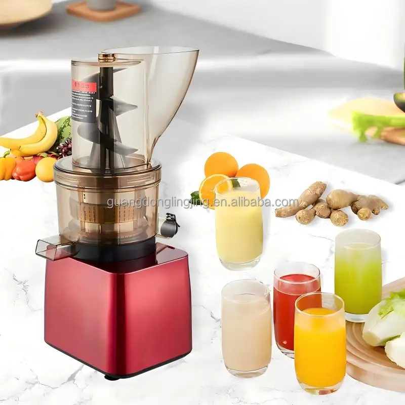 

300W Hand-Free Wide Feed Hopper Commercial Fruits