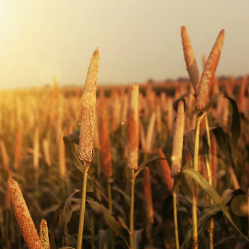 Rc Tank Smart Robot Tank Car Chassis Kit Rubber Track Crawler For Arduino 130 Motor Diy Robot Toys For Children