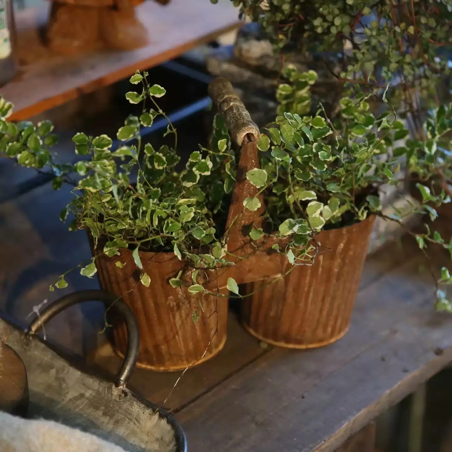 Vintage Rustic Metal Planter Set, Double or Triple Flower Pots with Handle, Distressed Corrugated Iron Plant Holder