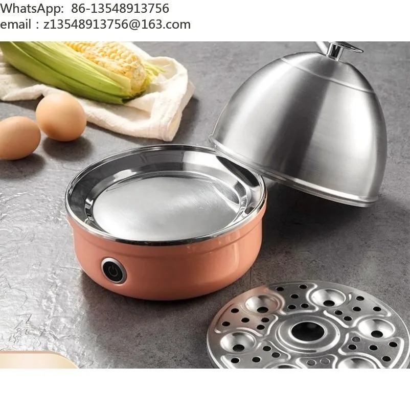 110V Egg Steamer Automatic Power Off Household Small Mini Stainless Steel Breakfast Machine