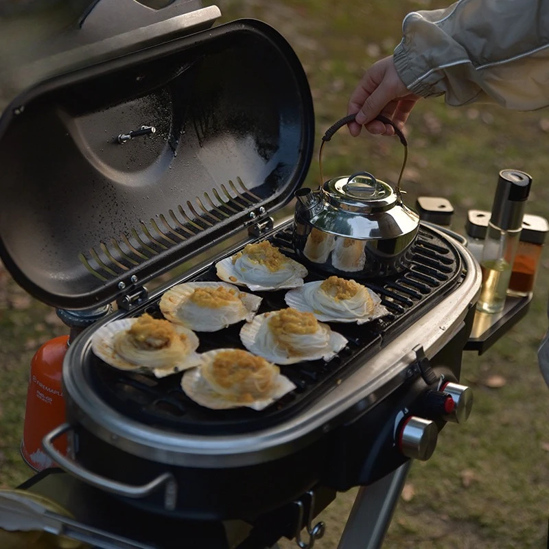 Outdoor draagbare gasoven met dubbele vlam
