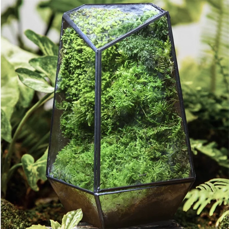 Quartz Shape Micro Landscape Glass Terrarium Moss Planter Tank Glass Flower Room Irregular Ecological Vase Geometric Terrarium