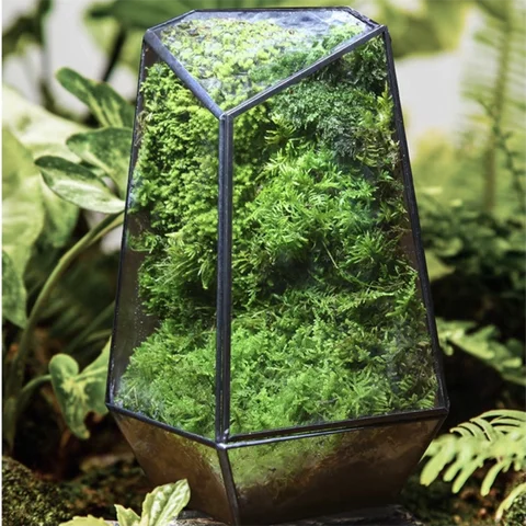 Quartz Shape Micro Landscape Glass Terrarium Moss Planter Tank Glass Flower Room Irregular Ecological Vase Geometric Terrarium