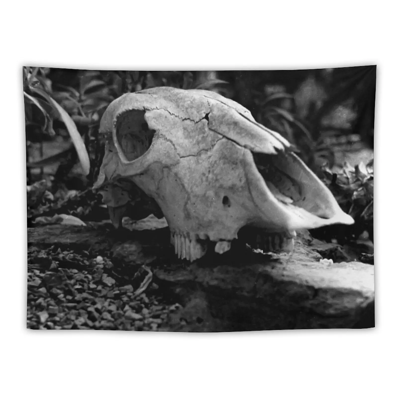 

Гобелен с изображением животных, черепа, декор для комнат, настенный гобелен, украшение для комнаты, эстетический декор для комнат