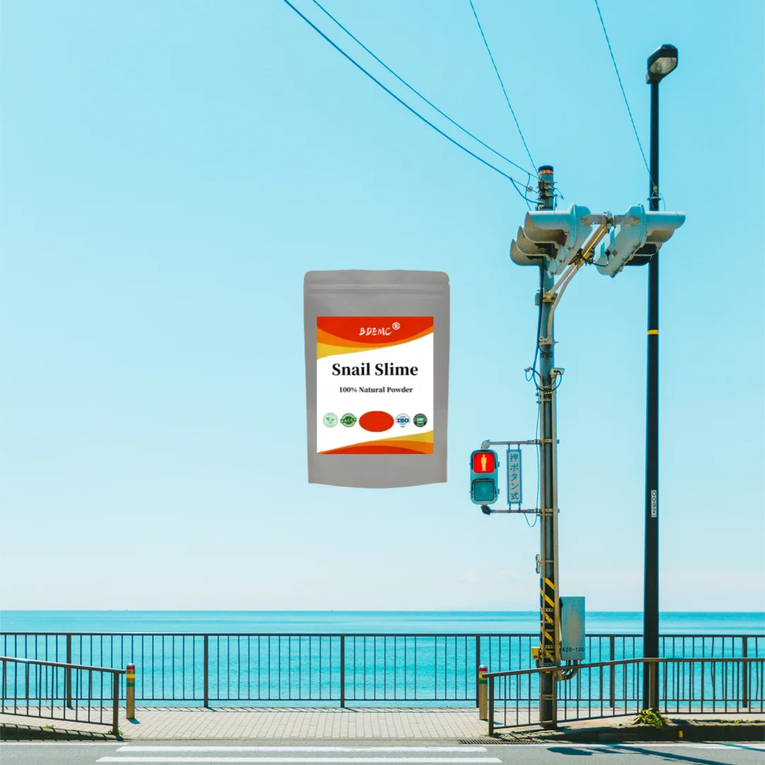 

3F4T индивидуальный 100% порошок экстракта слизи улитки, против морщин, против старения, отбеливание кожи, упаковка в пакете из алюминиевой фольги