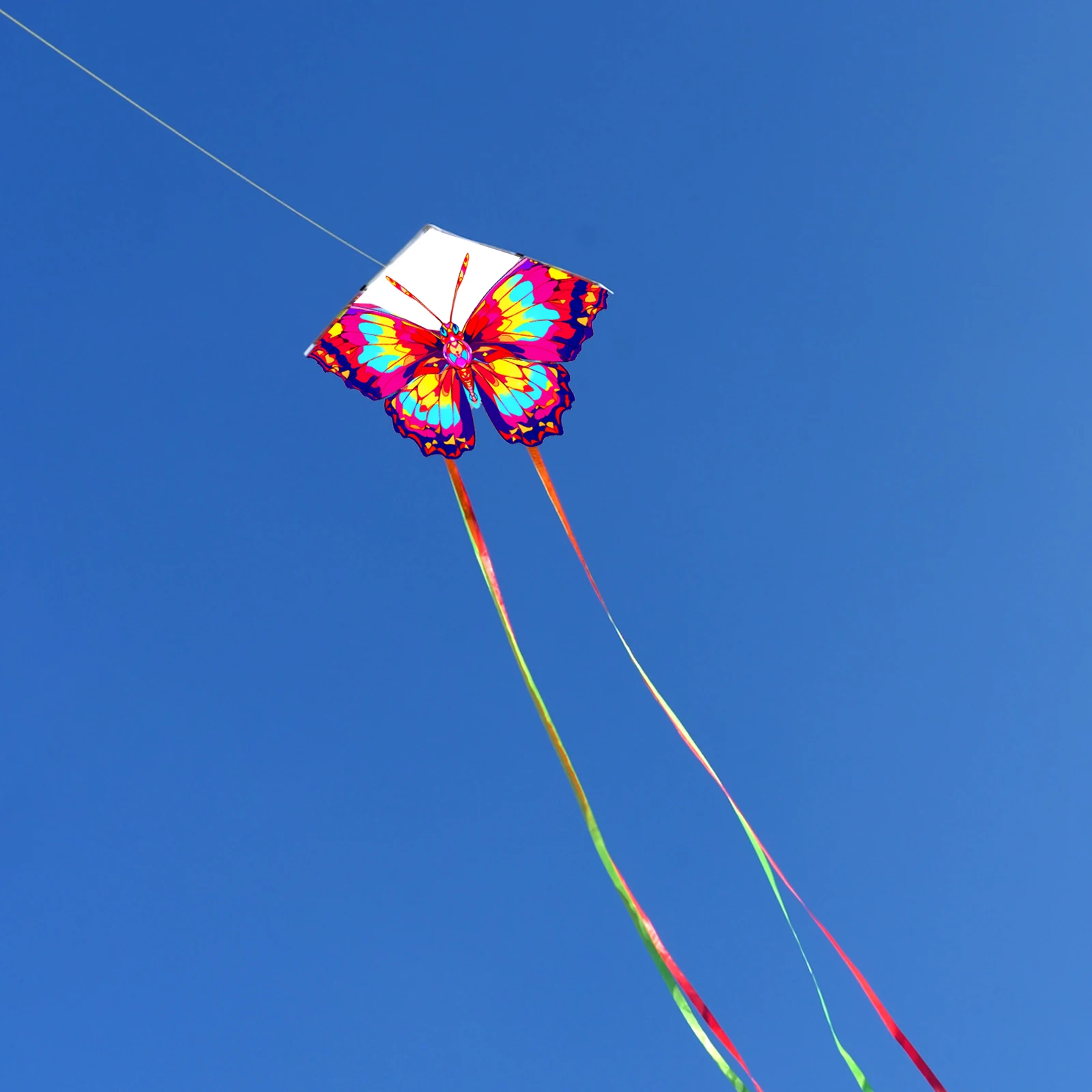 Butterfly Kids Kite 2