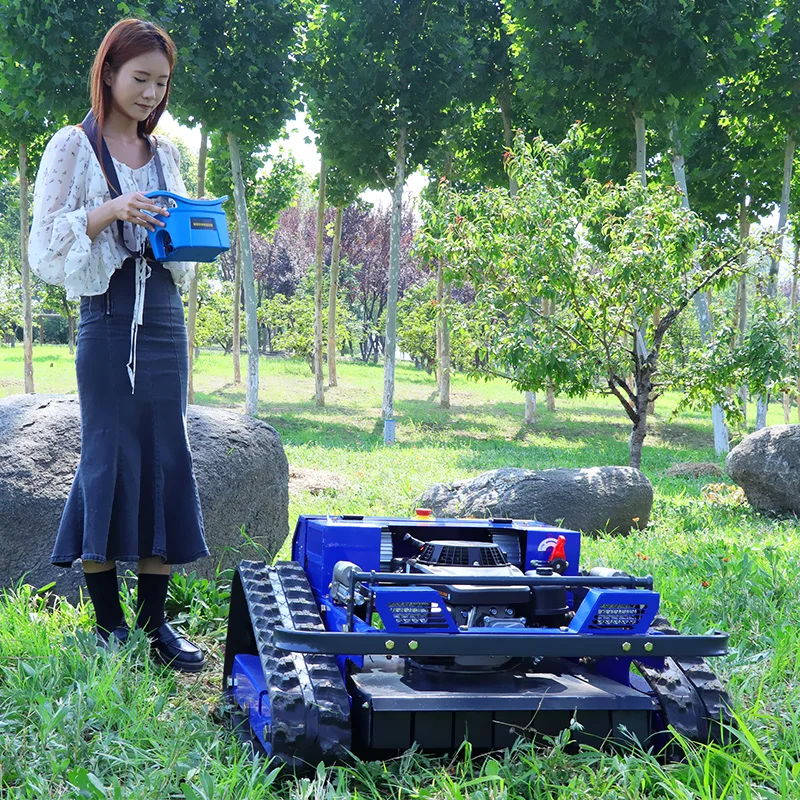 맞춤형 눈삽 농장 잔디용 모네르