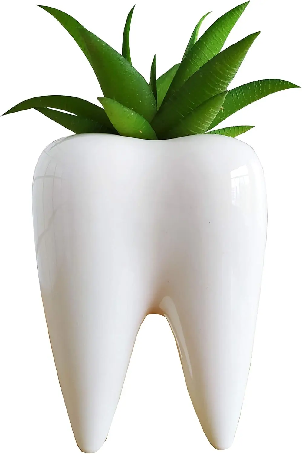 

3.95 inch Cute Tooth Shaped Ceramic Succulent Cactus Flower Pot-Plants Not Included (White)