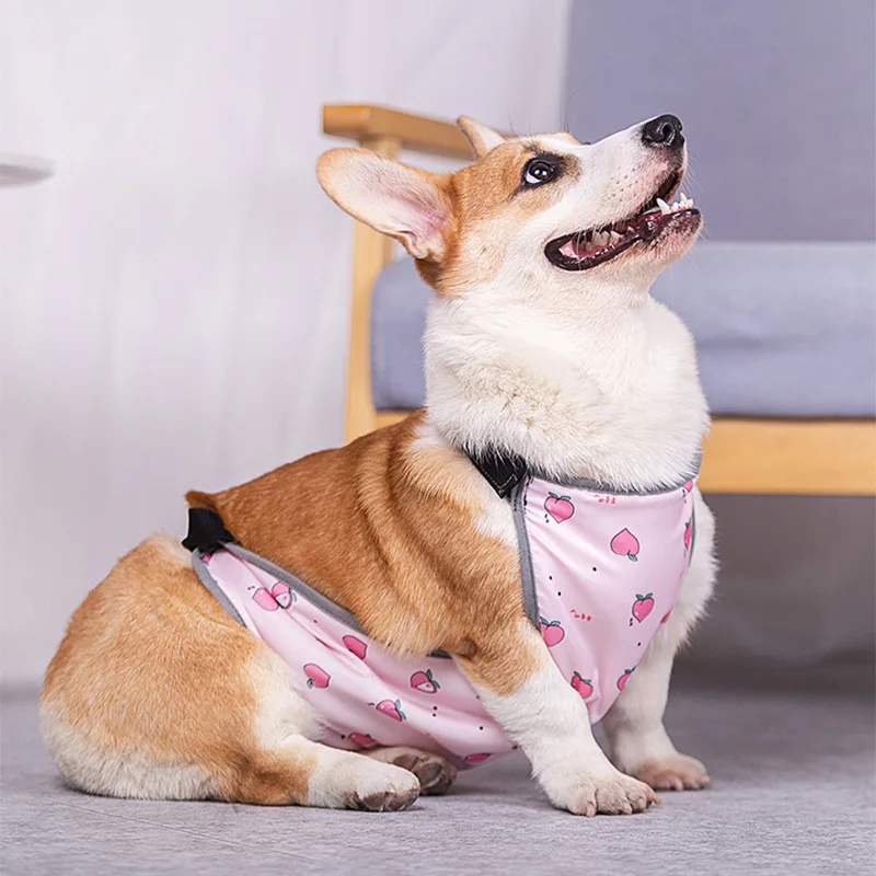 

2023 Summer New Pet Waterproof Bellyband Dog Cat Clothes Protecting Stomach Dog Supplies Corgi Teddy Bulldog Pet Apparel