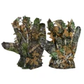 glove