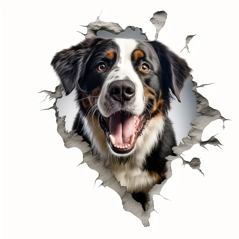 

Car Dashboard Rainbow Atmosphere Light Belt For BMW X6 E71 F16 G06 X1/2/4/5/3/7 F48 F49 F39 F47 F26 G02 E53 E70 G05 E83 G01 G07