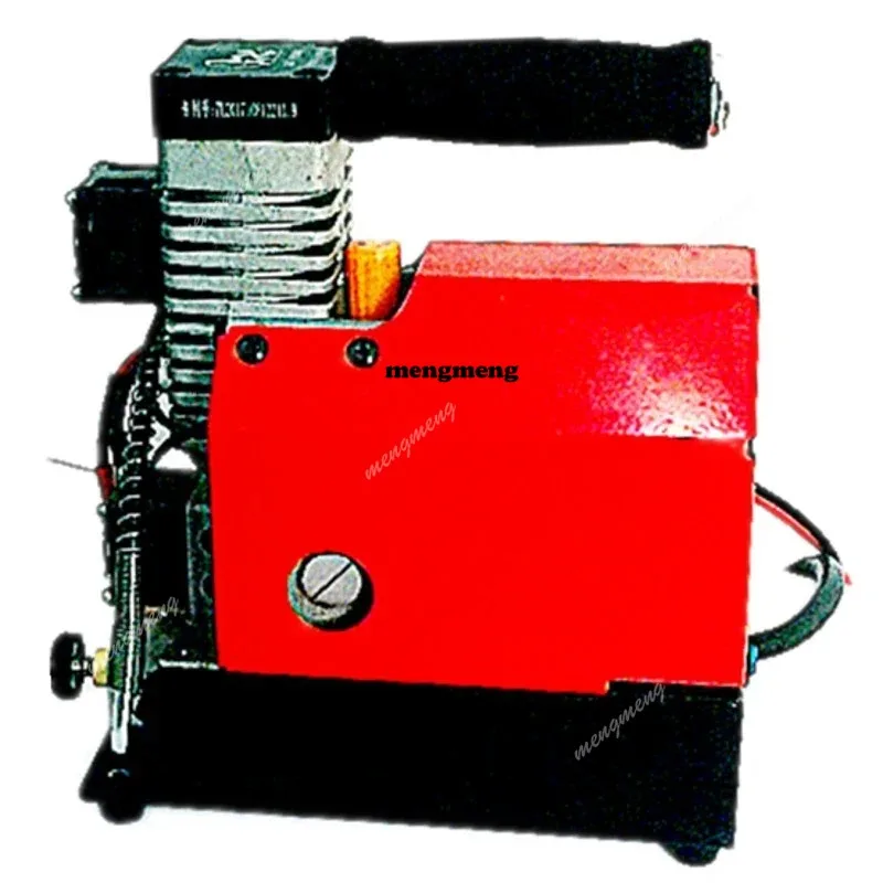 

High Pressure Electric Air Compressor Red Portable Electric Air Compressor Oil-Free Air Compressor 12V 250W 2700 r/min