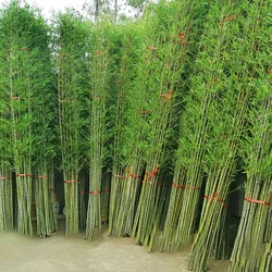 10PCS Artificial Green Bamboos Fake Plants Home Decor Artificial Plants House Enclosure Room Garden Outdoor Decoration Wholesale