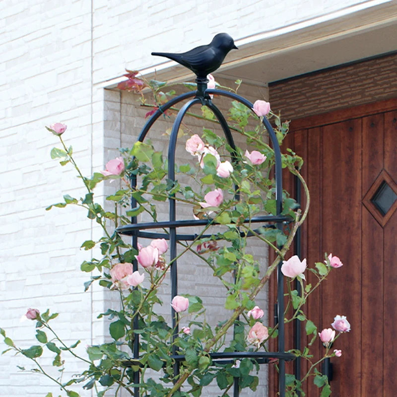 

Rose climbing vine frame, rose clematis balcony, courtyard, green plant wrought iron flower stand, outdoor climbing