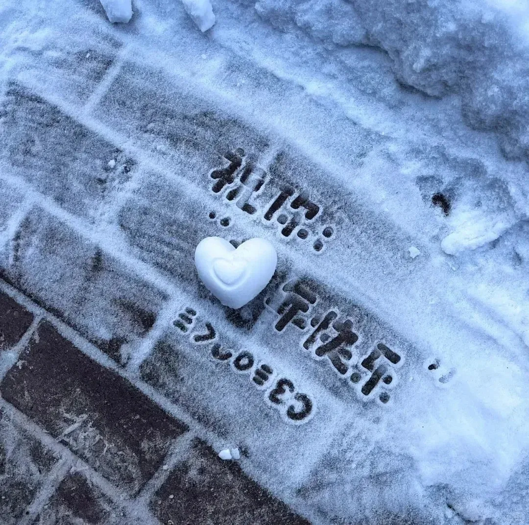 

VamsLuna BBL Butt Lifting Colombian Vacuum Cup Massager for Buttocks Breast Enhancement 50W Body Shaping Skin Tightening Suction