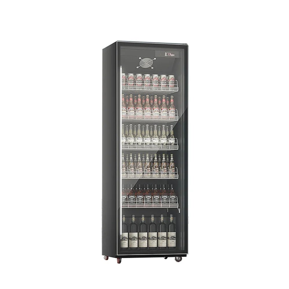 

Коммерческая морозильная камера с двойной стеклянной дверью Rebirth Upright 660L