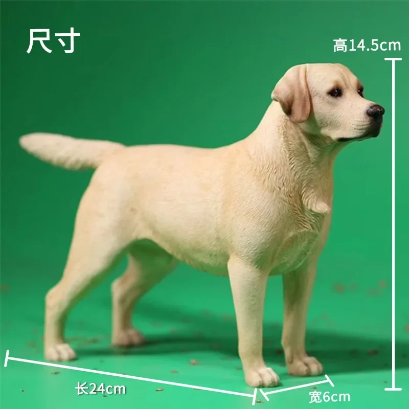 JXK 1/6 échelle simulé animaux ornements résine Labrador Retriever chien modèle bricolage pour 12 ''figurines corps poupée cadeau
